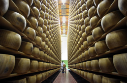 parmigiano-reggiano