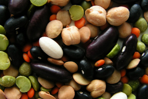 corso di cucina bio-veg