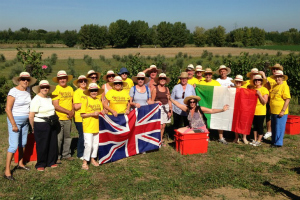 l'emozione della vendemmia