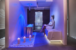 wellness1